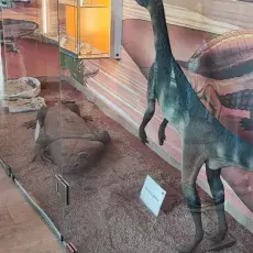 zdjęcie 6