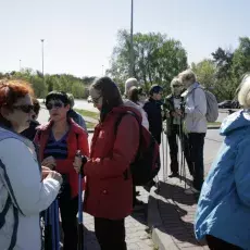 7.05.2015 - III Marsz Nordic Walking Studentów UTW.