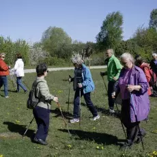 7.05.2015 - III Marsz Nordic Walking Studentów UTW.