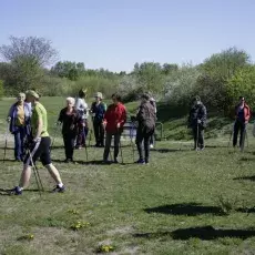 7.05.2015 - III Marsz Nordic Walking Studentów UTW.
