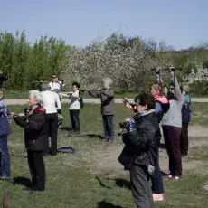 7.05.2015 - III Marsz Nordic Walking Studentów UTW.