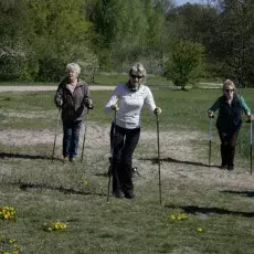 7.05.2015 - III Marsz Nordic Walking Studentów UTW.