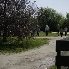 7.05.2015 - III Marsz Nordic Walking Studentów UTW.
