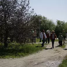7.05.2015 - III Marsz Nordic Walking Studentów UTW.