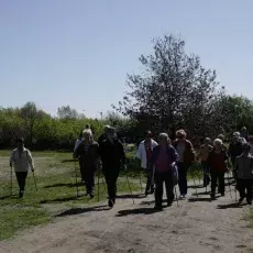 7.05.2015 - III Marsz Nordic Walking Studentów UTW.