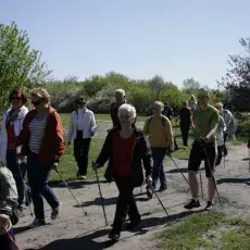 7.05.2015 - III Marsz Nordic Walking Studentów UTW.