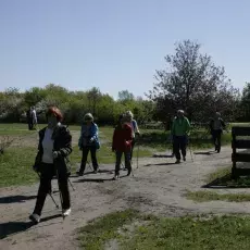7.05.2015 - III Marsz Nordic Walking Studentów UTW.