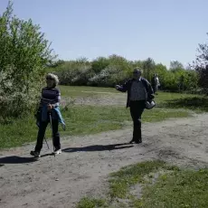 7.05.2015 - III Marsz Nordic Walking Studentów UTW.