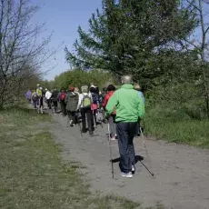 7.05.2015 - III Marsz Nordic Walking Studentów UTW.