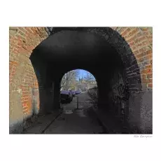         17             Ostrość, głębia, kadr i cyk fotka już jest !!!