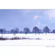 Ostrość, głębia, kadr i cyk fotka już jest !!! natura zimowa