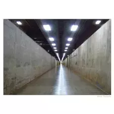 Ostrość, głębia, kadr i cyk fotka już jest !!! tunel