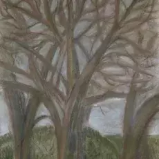 Lidia Cieślińska - pastel