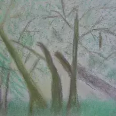 Janina Kwiatkowska - pastel