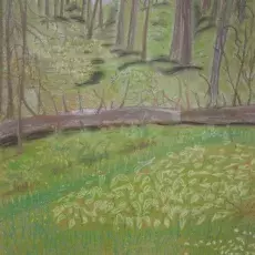 Janina Stachowska (pastel)