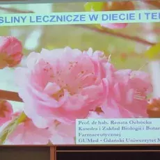 Tadeusz Szczęsny
