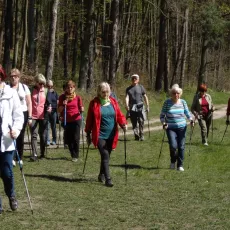 I Rajd Nordic Walking 4