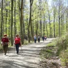 I Rajd Nordic Walking 16 