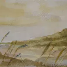 obraz