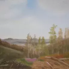obraz