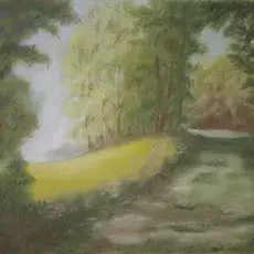 obraz